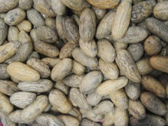 臺(tái)州千眼菩提子一手貨源、地?cái)偖a(chǎn)品、熱銷產(chǎn)品包郵