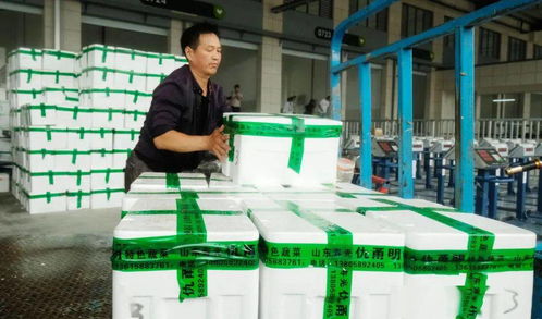 寧波最大 菜場(chǎng) 今天開市 35年4次搬遷,這些老市場(chǎng)你還記得嗎