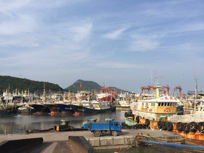 &ldquo;東海魚倉(cāng)&rdquo;還有多少魚?-