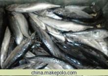 鰹魚冷凍粗加工產(chǎn)品 - 臺州億利達水產(chǎn)專業(yè)供應(yīng)