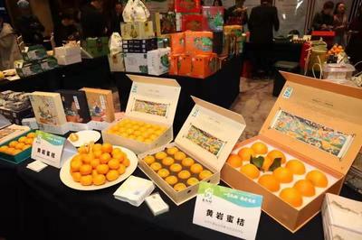 人氣爆棚！“臺九鮮”高調亮相農博會 臺州